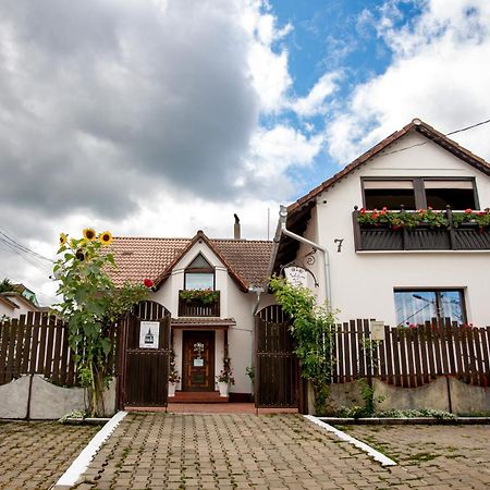 Panorama Guesthouse Sighisoara Ngoại thất bức ảnh